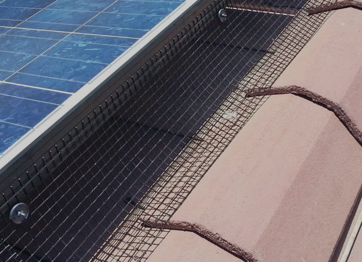 Bird proofing solutions for solar panels Orange County - Solar Sparkle
