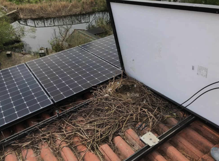 Bird deterrent installation on solar panels by Solar Sparkle Orange County