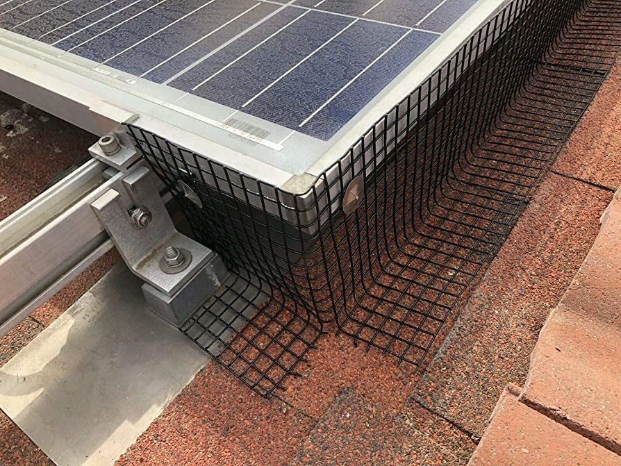 Placentia solar panels with bird protection, maintaining their clean state for longer